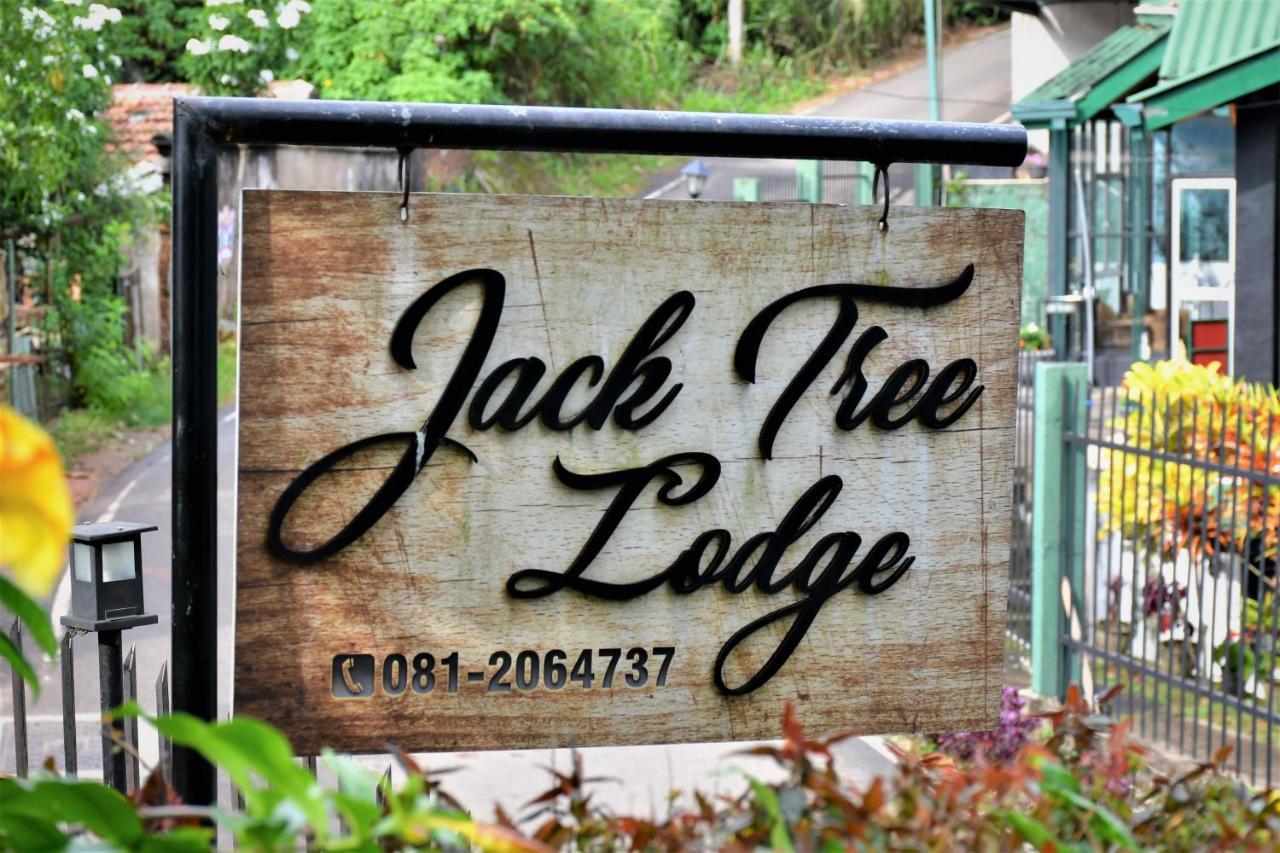 Jack Tree Lodge 캔디 외부 사진