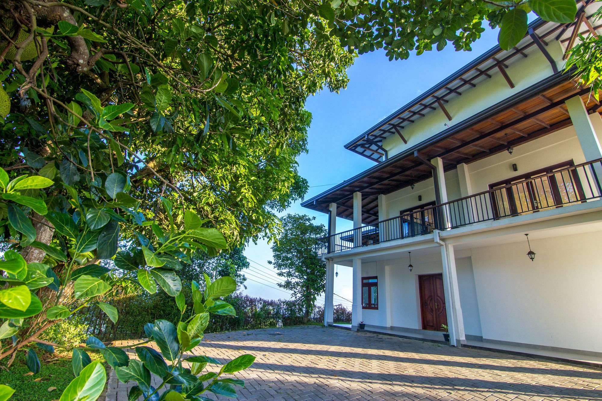 Jack Tree Lodge 캔디 외부 사진